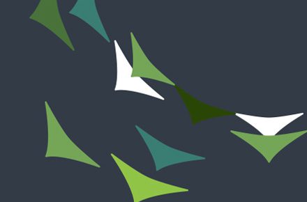 Neil Phillips Design - Web Design Waterlooville - Cedar IP Website Project